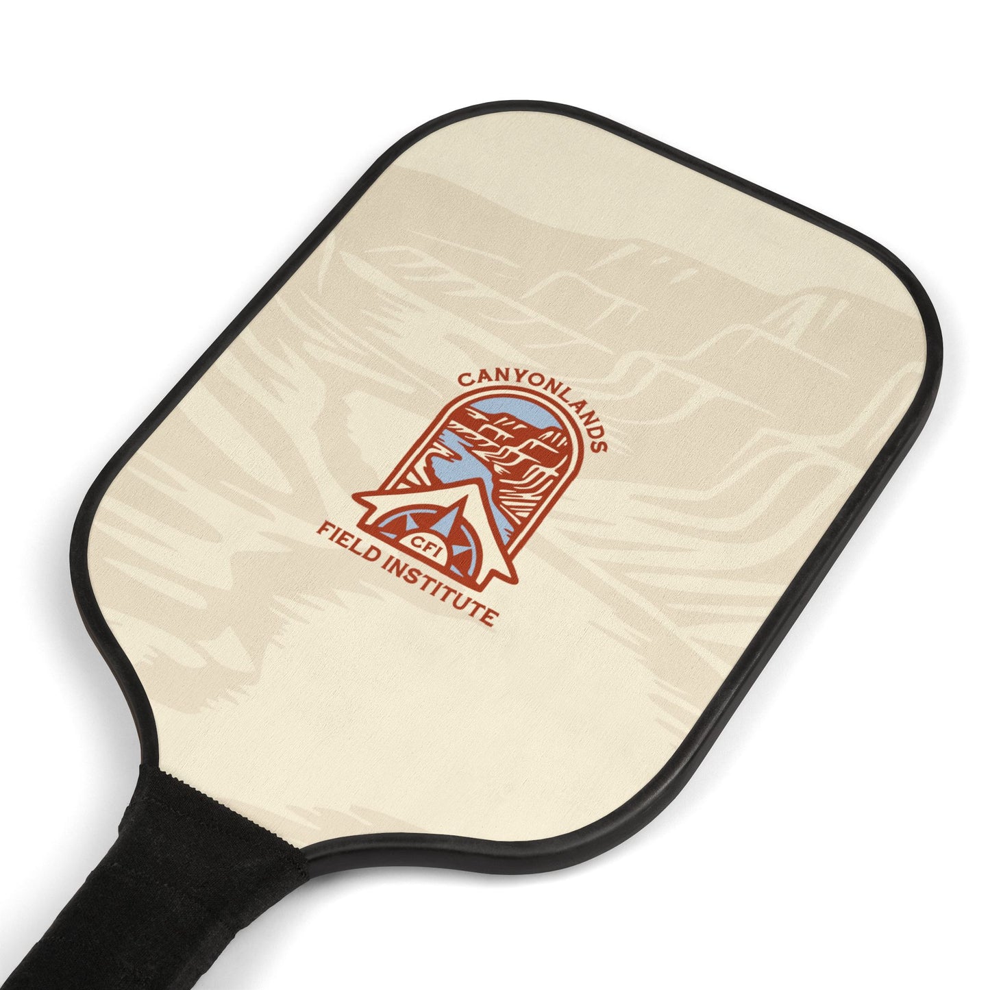 Pickleball Kit